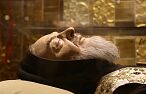 10 mało znanych faktów z życia św. ojca Pio