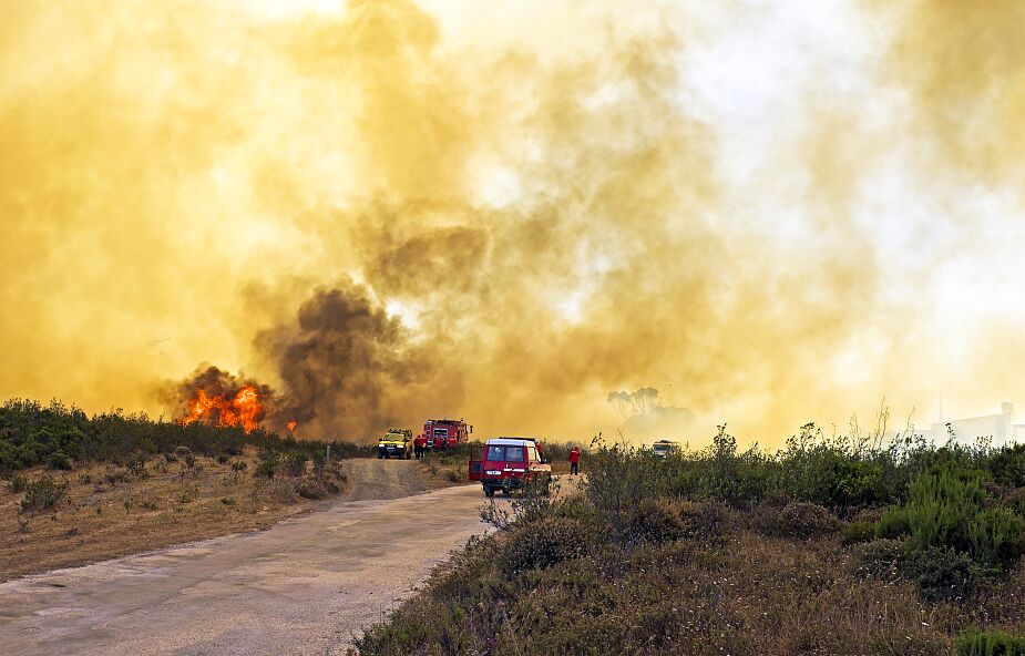 Naukowcy alarmują: pożary lasów spowodowały rekordowe zanieczyszczenie atmosfery