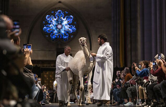 W nowojorskiej katedrze św. Jana Bożego pobłogosławiono zwierzęta (fot. PAP/EPA/JUSTIN LANE)