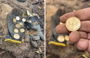 Niespotykany skarb w lesie pod Szczecinem. Poszukiwacze odnaleźli 70 złotych monet