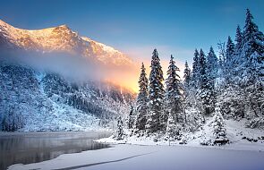 W Tatrach zamknięto popularny szlak turystyczny. Zimuje przy nim niedźwiedzica z młodymi