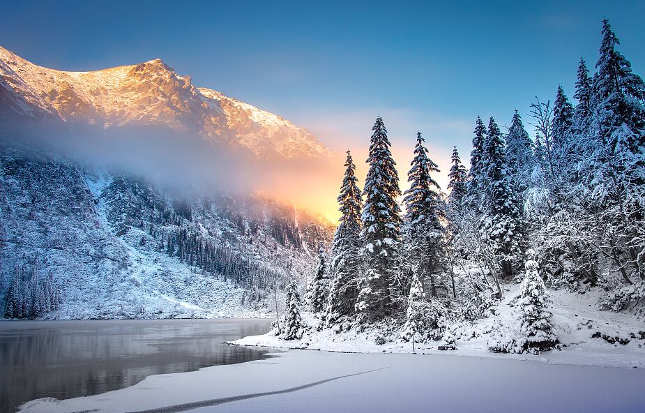 W Tatrach zamknięto popularny szlak turystyczny. Zimuje przy nim niedźwiedzica z młodymi