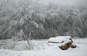 W Beskidach mroźnie: trudne warunki na zaśnieżonych szlakach
