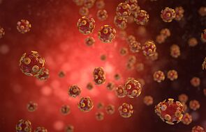 UE: Polska firma promuje wirusy zapobiegające rozwojowi chorób bakteryjnych