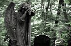 Udręczony człowiek, by ulżyć ciężarowi samotności, prosi o pomoc aniołów. "Płaczcie, anieli..."