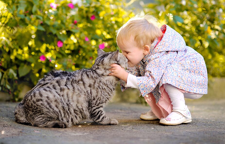 Dzieci mieszkające z kotami lub psami są mniej narażone na alergie pokarmowe