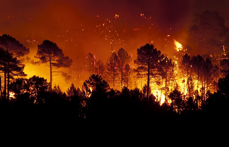 Francja: Płonie duży obszar lasu przy granicy z Hiszpanią. Ewakuowano setki osób