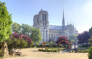 Wytną cenne drzewa i krzewy z ogrodów Notre Dame, by zrobić miejsce na piknik. Protestuje 40 tys. osób