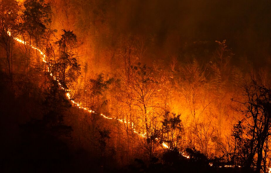 Olbrzymie pożary w Kanadzie. Spłonęło już 6 milionów hektarów lasów