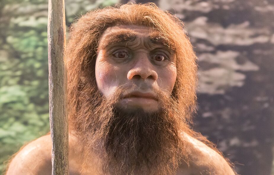 Odnaleziono odciski palców neandertalczyków. Mają 57 tys. lat