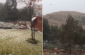 W Republice Południowej Afryki spadł… śnieg. "To zupełnie nietypowe"