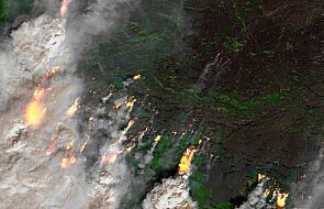 Kanada/ Trwają pożary lasów, w Kolumbii Brytyjskiej władze proszą o oszczędzanie wody