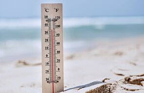 Padł rekord ciepła! 3 lipca był najgorętszym dniem na świecie