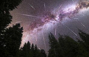 Czy w noc Perseidów zobaczymy "spadające gwiazdy"? Ekspert nie ma wątpliwości
