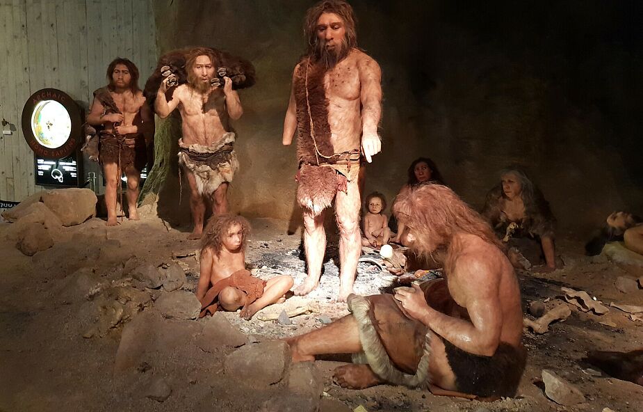 Kamienne narzędzia neandertalskie sprzed 130 tys. lat odkryto w Raciborzu
