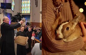 Księża z Tarnobrzegu zorganizowali losowanie królików. Obrońcy zwierząt grzmią