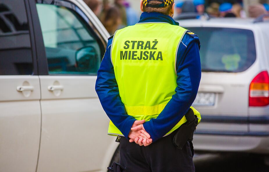 Straż miejska wezwana do złapania „kobry” w centrum Krakowa