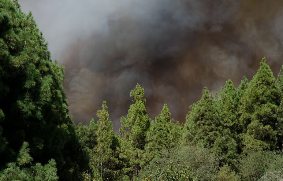 Abp Garib o pożarach w Chile: Sytuacja jest katastrofalna