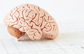 Naukowcy wydrukowali tkankę ludzkiego mózgu. Działa i rośnie podobnie jak naturalna