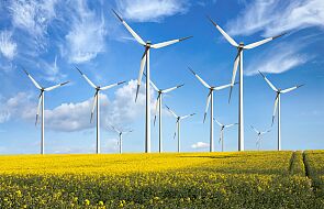PSE w środę ograniczyły produkcję energii z wiatru