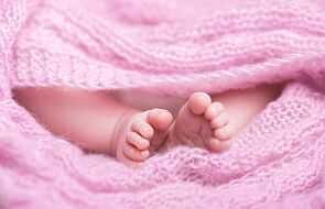To miasto otrzymało tytuł stolicy pro-life. Mieszka tam wielu Polaków
